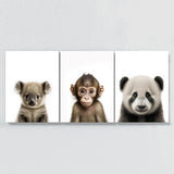 Nursery Baby Koala Monkey Panda 3 Wall Art