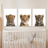 Nursery Baby Leopard Lion Tiger 3 Wall Art