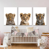 Nursery Baby Leopard Lion Tiger 3 Wall Art