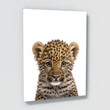 Nursery Baby Leopard Lion Tiger 3 Wall Art