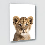 Nursery Baby Leopard Lion Tiger 3 Wall Art