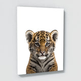 Nursery Baby Leopard Lion Tiger 3 Wall Art