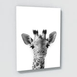 Nursery Elephant Giraffe Zebra 2 Wall Art