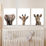 Nursery Elephant Giraffe Zebra 3 Wall Art