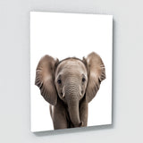 Nursery Elephant Giraffe Zebra 3 Wall Art