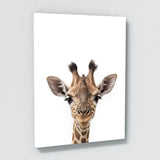 Nursery Elephant Giraffe Zebra 3 Wall Art