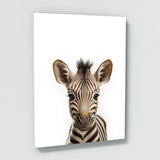 Nursery Elephant Giraffe Zebra 3 Wall Art