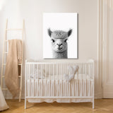 Nursery Baby Alpaca Black White 199 Wall Art