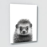 Nursery Baby Hedgehog Black White 200 Wall Art