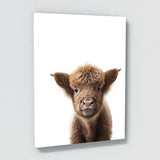 Nursery Baby Highland Cow 164 Wall Art