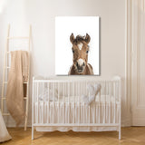 Nursery Baby Horse Photography 163 Wall Art