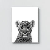 Nursery Baby Leopard Black White 205 Wall Art