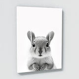 Nursery Baby Squirrel Black White 201 Wall Art