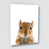 Nursery Baby Squirrel Photography 169 Wall Art