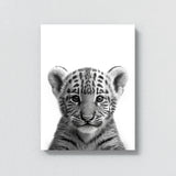 Nursery Baby Tiger Black White 171 Wall Art