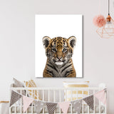 Nursery Baby Tiger Photography 135 Wall Art