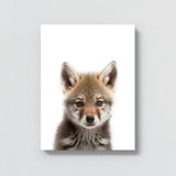 Nursery Baby Wolf Photography 165 Wall Art