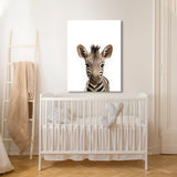 Nursery Baby Zebra Photography 153 Wall Art