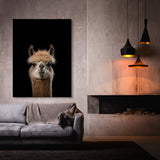 Animal Black Alpaca Head 196 Wall Art