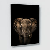 Animal Black Elephant Head 5 Wall Art