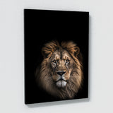 Animal Black Lion Head 133 Wall Art