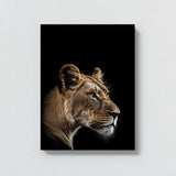 Animal Black Lioness Head 148 Wall Art