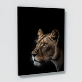 Animal Black Lioness Head 154 Wall Art