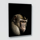 Animal Black Monkey Head 46 Wall Art