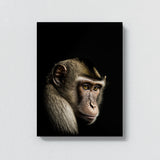 Animal Black Monkey Head 46 Wall Art