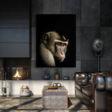 Animal Black Monkey Head 46 Wall Art