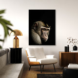 Animal Black Monkey Head 46 Wall Art