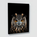 Animal Black Owl Head 52 Wall Art