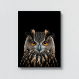 Animal Black Owl Head 52 Wall Art