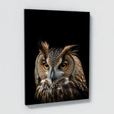 Animal Black Owl Head 55 Wall Art