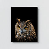 Animal Black Owl Head 55 Wall Art