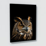 Animal Black Owl Head 56 Wall Art