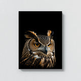 Animal Black Owl Head 56 Wall Art