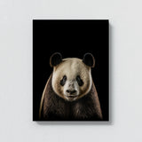 Animal Black Panda Head 59 Wall Art