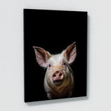 Animal Black Pig Head 69 Wall Art