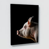 Animal Black Pig Head 70 Wall Art