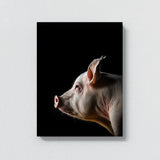 Animal Black Pig Head 70 Wall Art