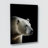 Animal Black Polar Bear Head 107 Wall Art