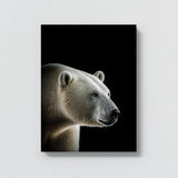 Animal Black Polar Bear Head 107 Wall Art