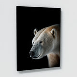 Animal Black Polar Bear Head 108 Wall Art