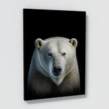 Animal Black Polar Bear Head 110 Wall Art