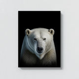 Animal Black Polar Bear Head 110 Wall Art