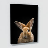 Animal Black Rabbit Head 41 Wall Art