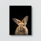 Animal Black Rabbit Head 41 Wall Art