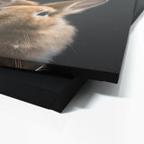 Animal Black Rabbit Head 41 Wall Art