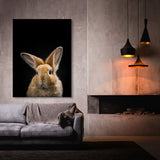 Animal Black Rabbit Head 41 Wall Art